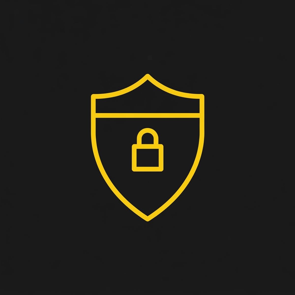 Shield icon representing secure payments